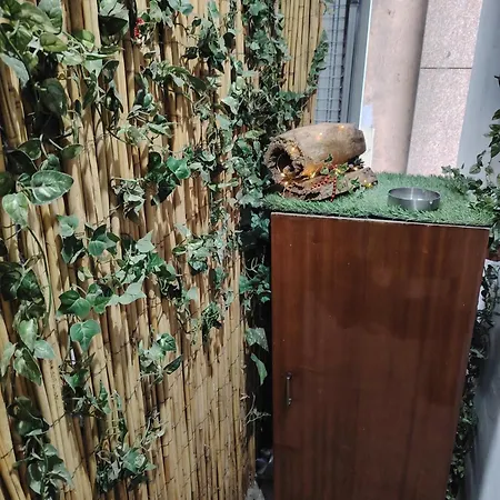 Alloga Apartman Belgrád